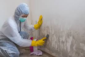 Best Mold Odor Removal Services  in Grandview, OH